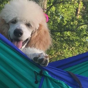 Meet your Posher, Angela